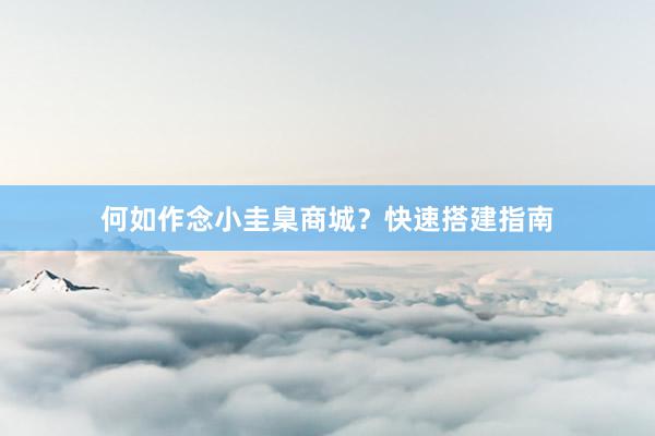 何如作念小圭臬商城？快速搭建指南