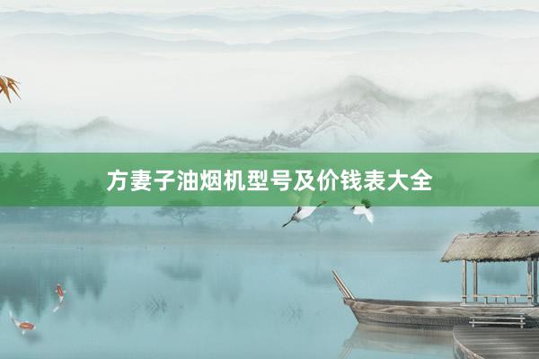 方妻子油烟机型号及价钱表大全
